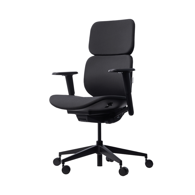 ZUOWE Compact Black Low Back Ergonomic Chair