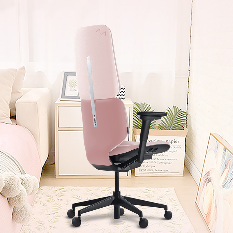 ZUOWE Pink Ergonomic Office Chair with Lumbar Support Pillow