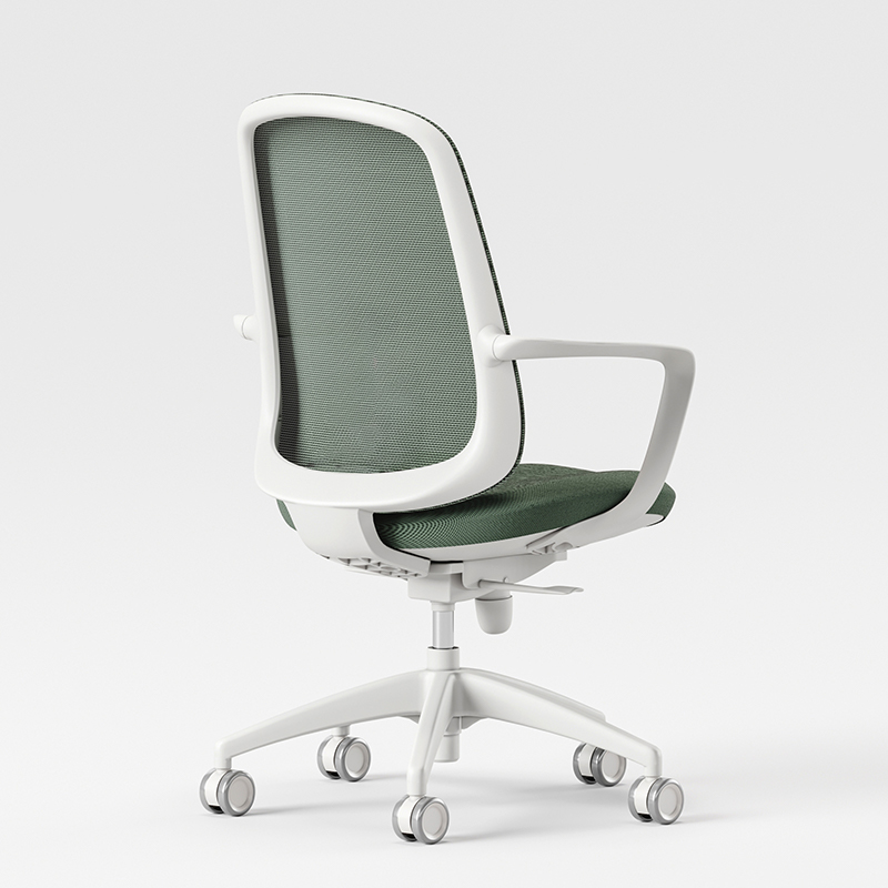 ZUOWE Ergonomic with Lumbar Support Home Office