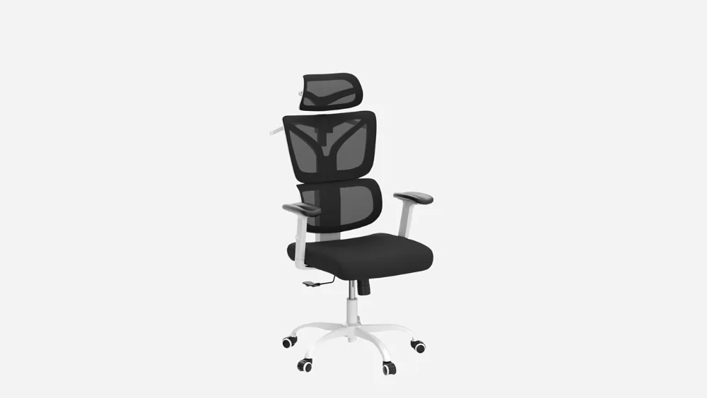 Ergonomic Chairs for Home Offices