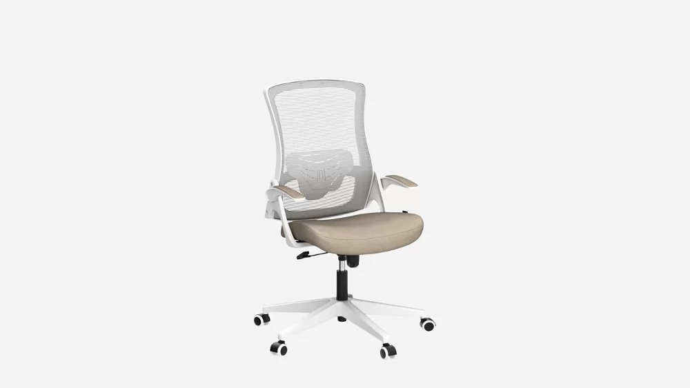 Economical Ergonomic Chair for Home Office