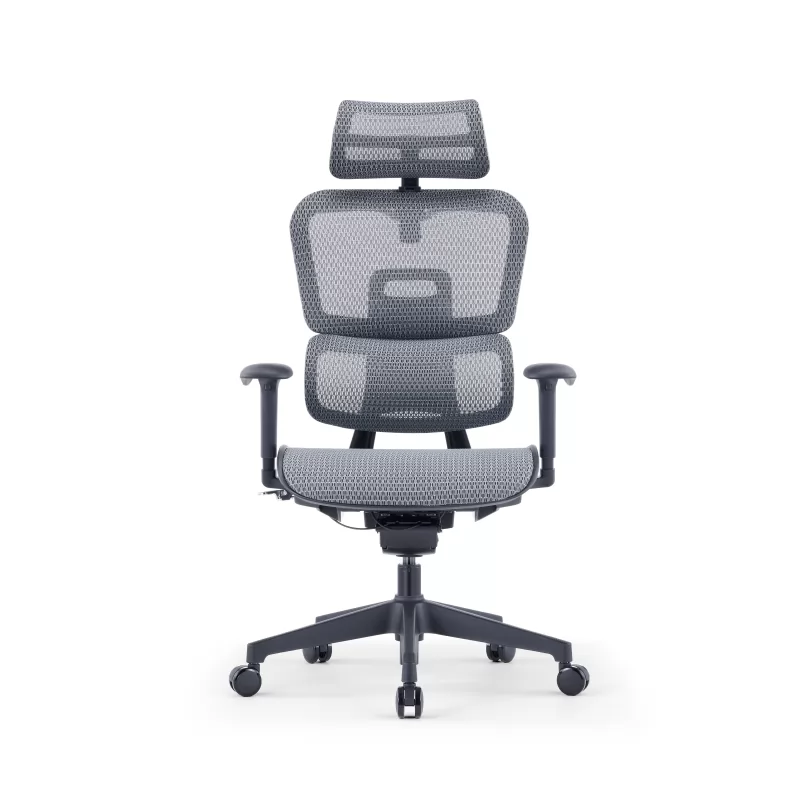 ZUOWE luxury executive chair Low Back Ergonomic Chair