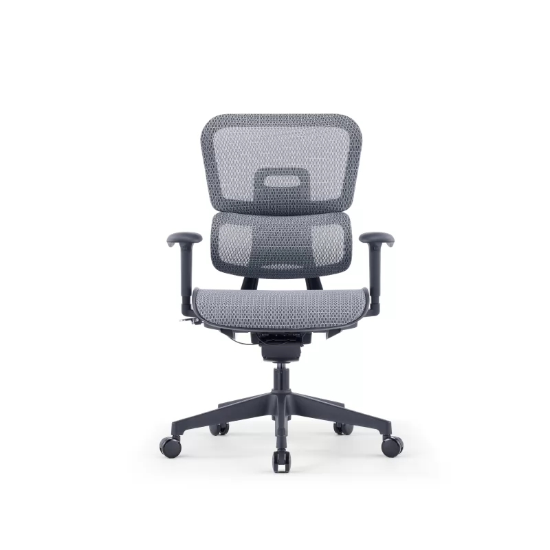 ZUOWE luxury executive chair Low Back Ergonomic Chair