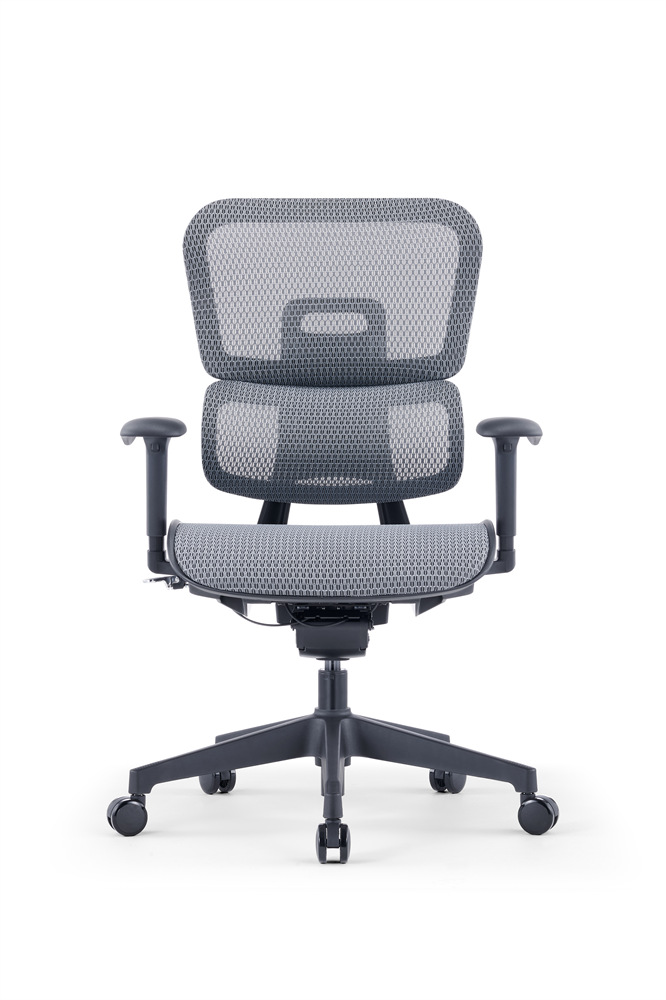 ZUOWE luxury executive chair Low Back Ergonomic Chair