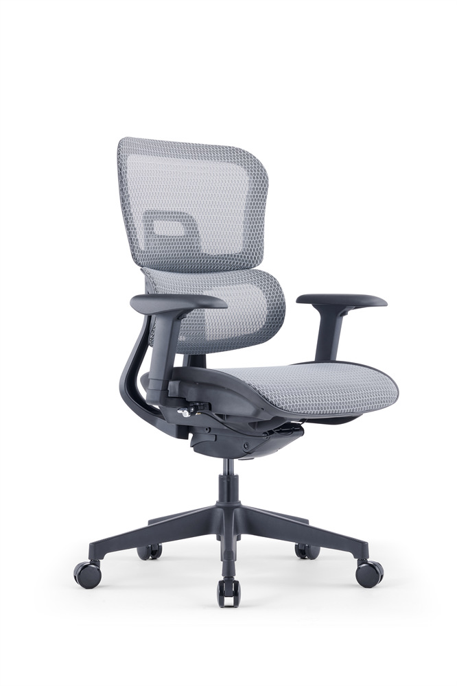 ZUOWE luxury executive chair Low Back Ergonomic Chair