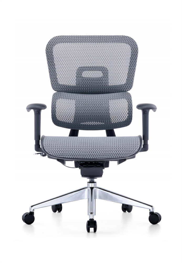 ZUOWE luxury executive chair Low Back Ergonomic Chair