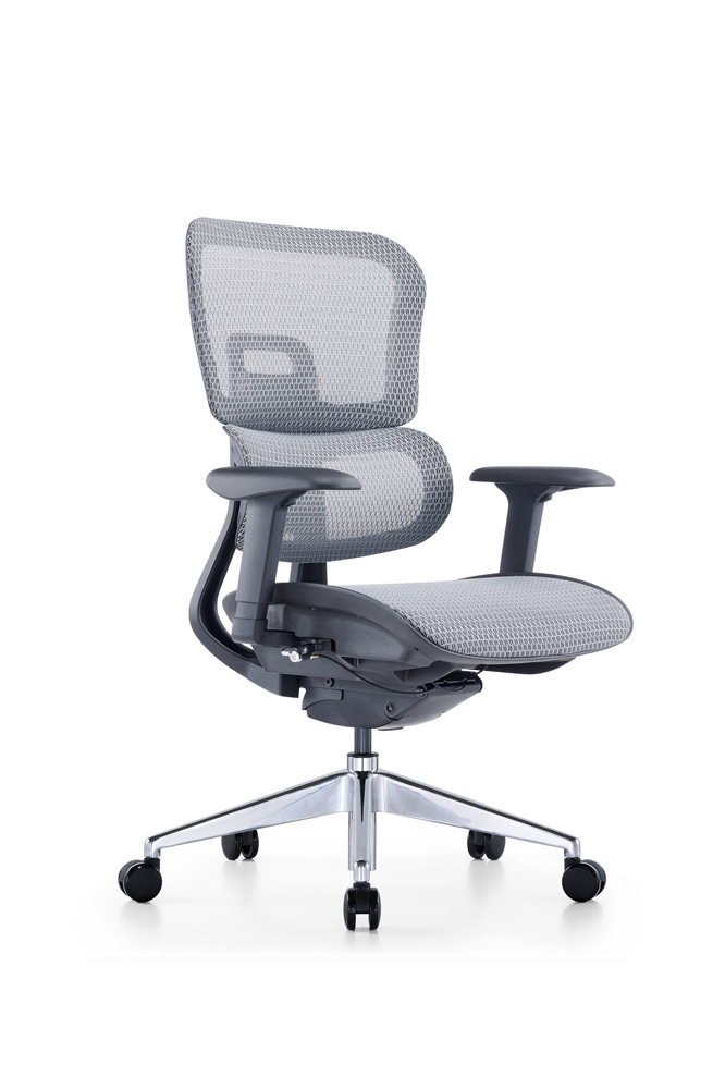 ZUOWE luxury executive chair Low Back Ergonomic Chair