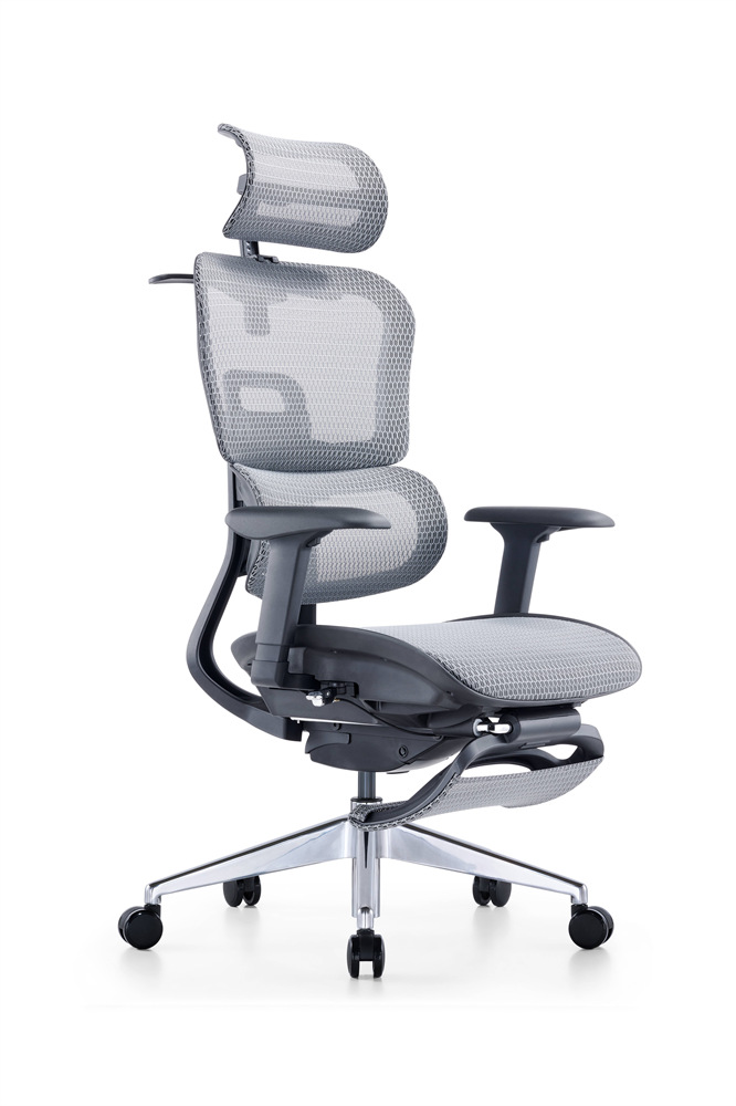 ZUOWE luxury executive chair Low Back Ergonomic Chair