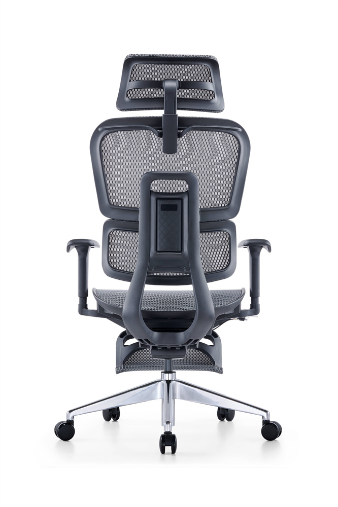 ZUOWE luxury executive chair Low Back Ergonomic Chair