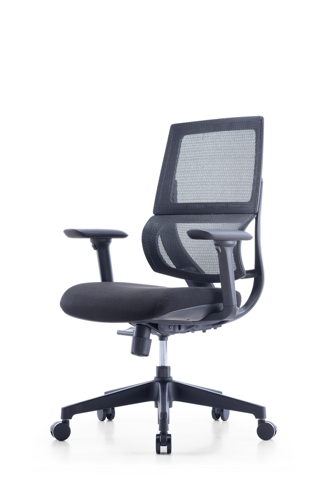 ZUOWE office chair with lumbar support executive chair