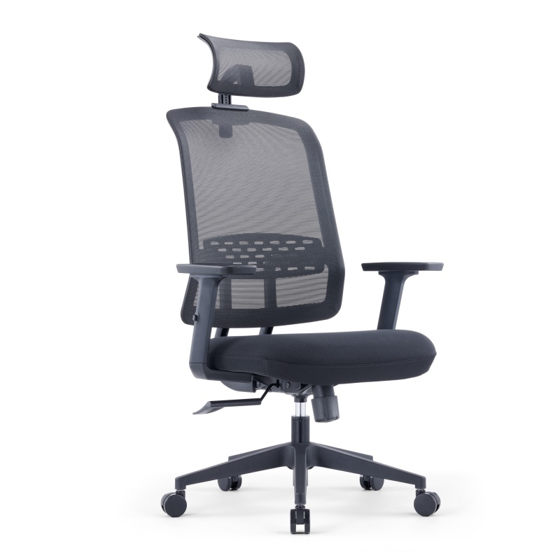 ZUOWE Ergonomic Executive Office Chair Cervical Curve Headrest Design Adjustable Desk Chair